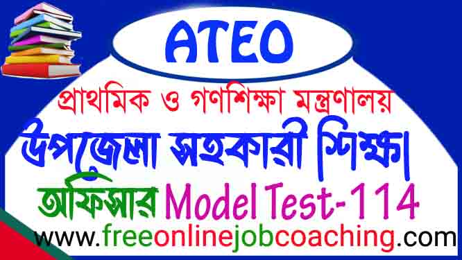 ATEO Preliminary Real Model Test 114
