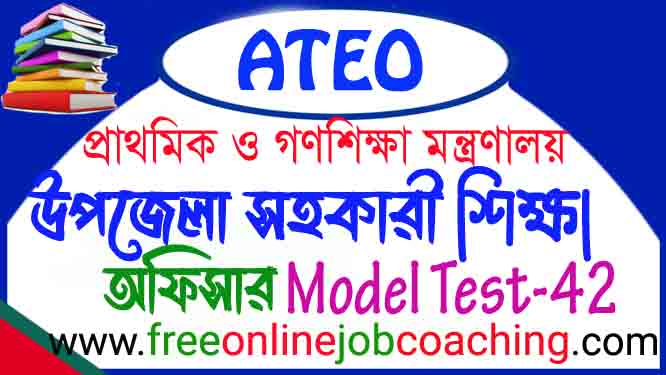 ATEO Preliminary Real Model Test 42
