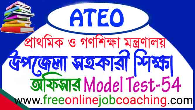 ATEO Preliminary Real Model Test 54
