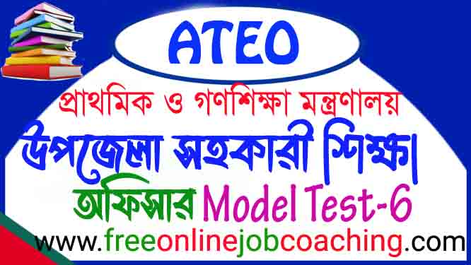ATEO Preliminary Real Model Test 6

