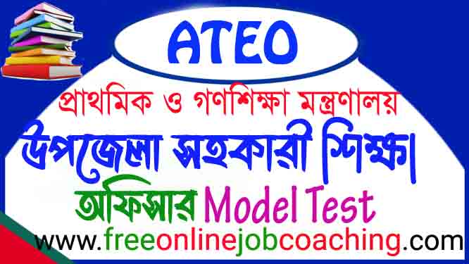Upazila Assistant Education Officer ATEO Preliminary real model test free online