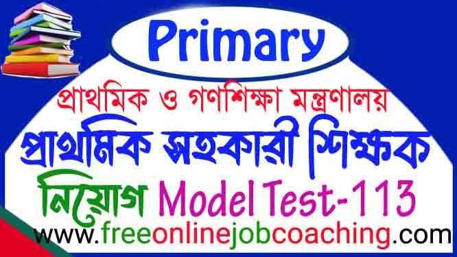 Primary Assistant Teacher Job Recruitment Examination Model Test 113